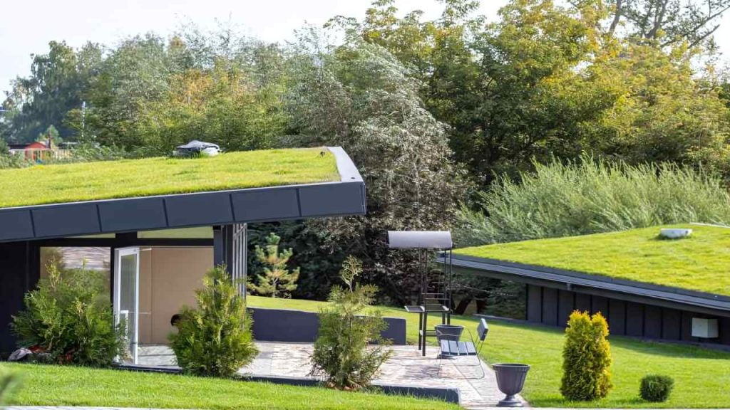 factors-that-affect-green-roof-cost.