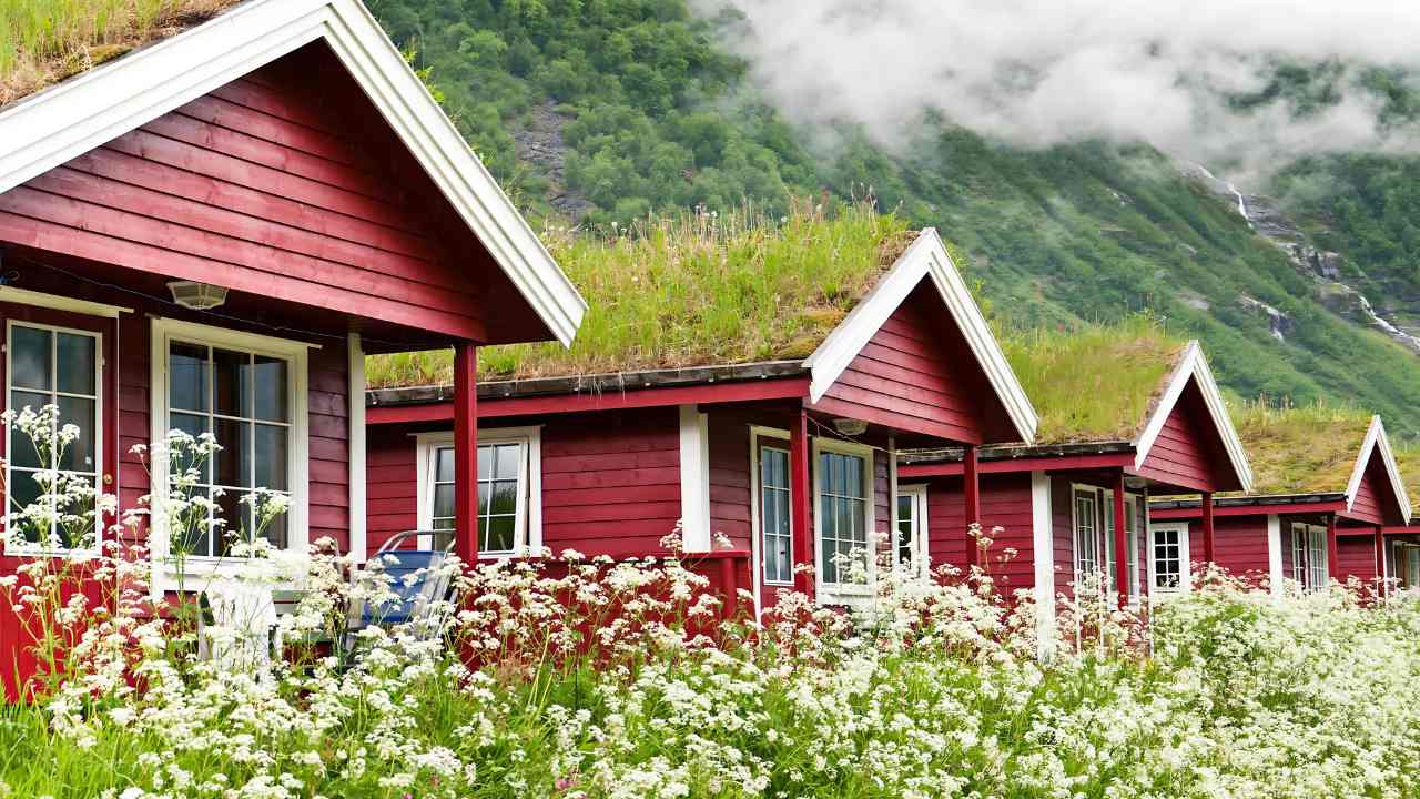 green-roof-installation